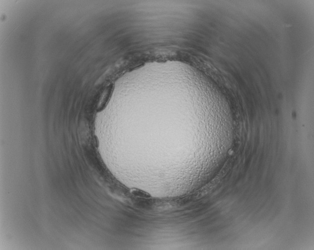 X0000073740704200608311910