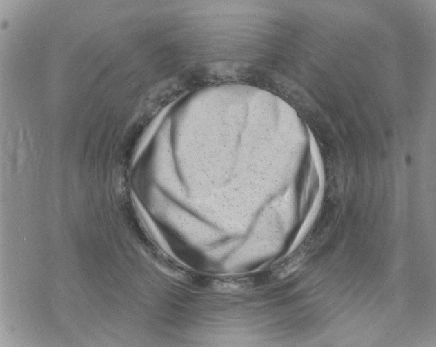X0000073740706200608311910