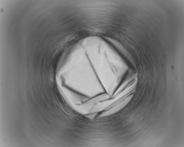X0000073740710200608311910