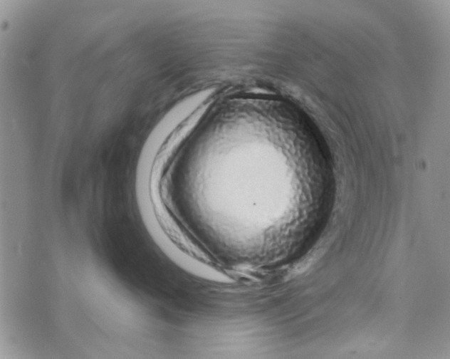 X0000073740720200608311910