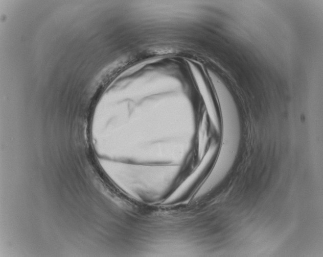 X0000073740733200608311909