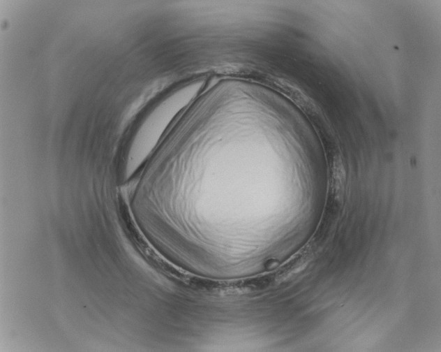 X0000073740734200608311909