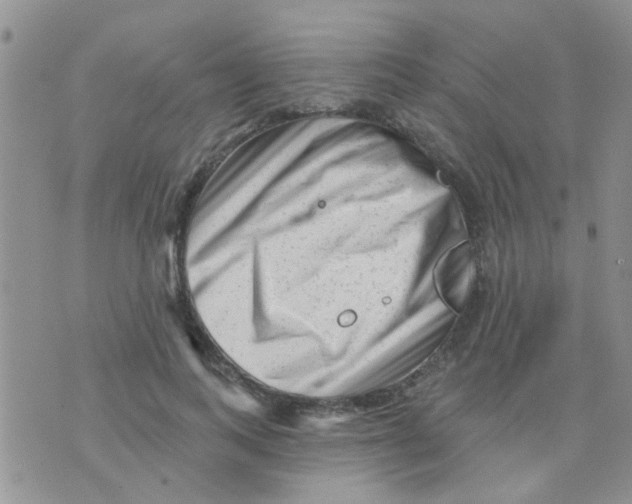 X0000073740743200608311909