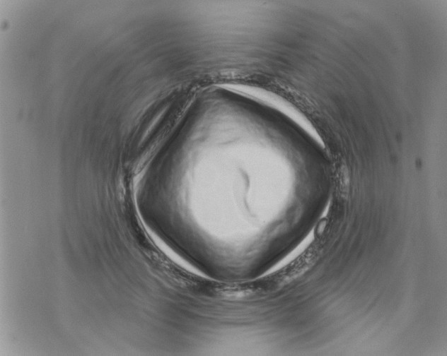 X0000073740746200608311910