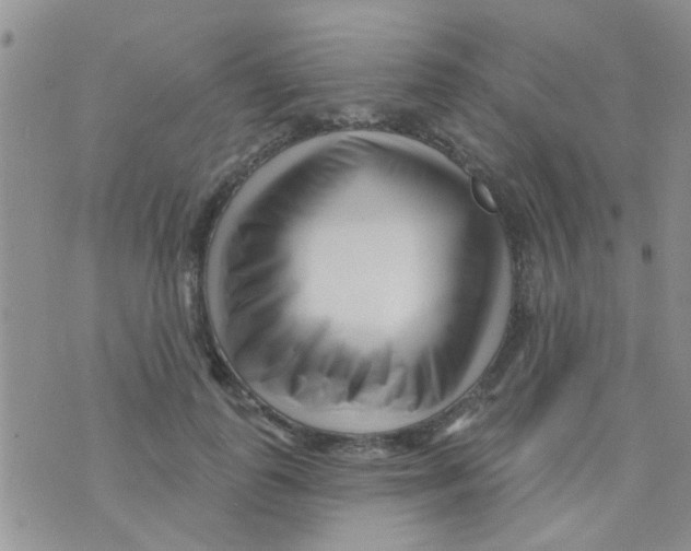 X0000073740747200608311910