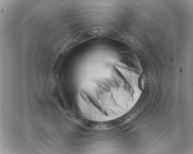 X0000073740751200608311910