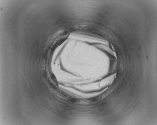 X0000073740758200608311910
