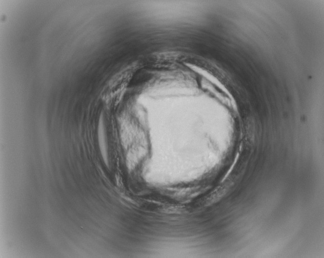 X0000073740761200608311910