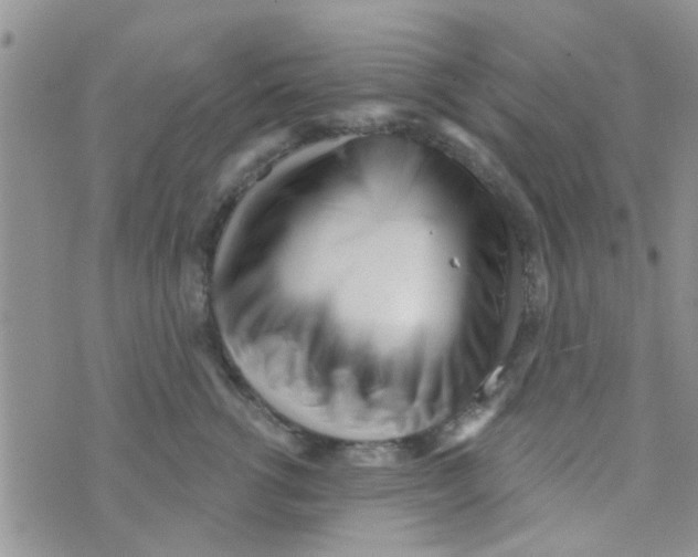 X0000073740762200608311910