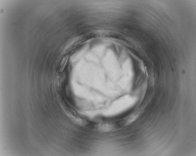 X0000073740766200608311910