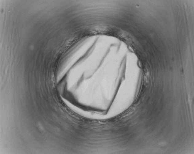 X0000073740772200608311909