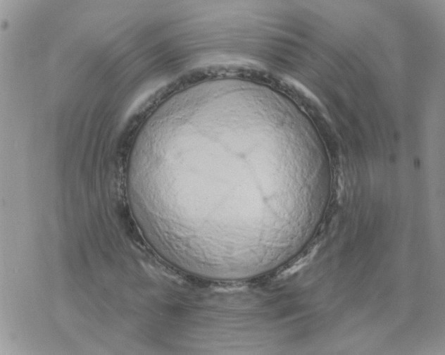 X0000073740775200608311909
