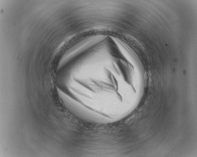 X0000073740776200608311909