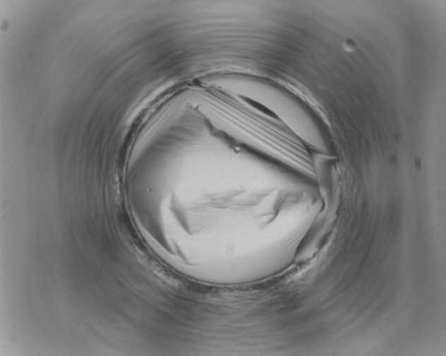 X0000073740782200608311909