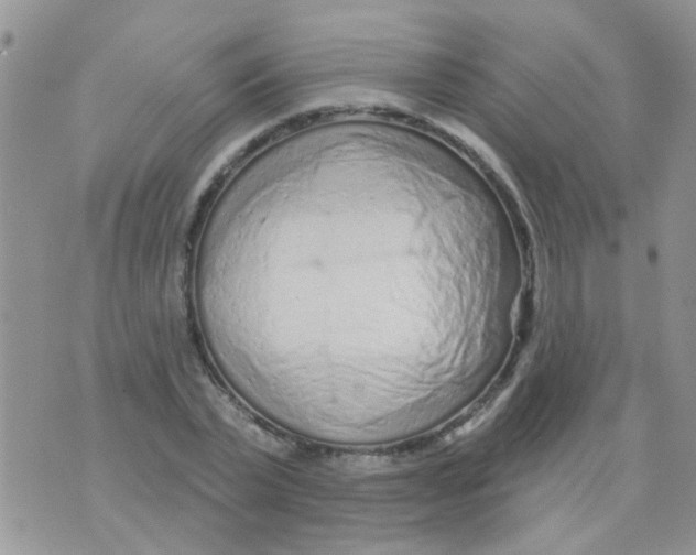 X0000073740783200608311909