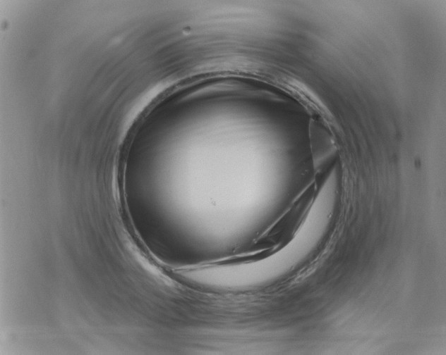 X0000073740788200608311909
