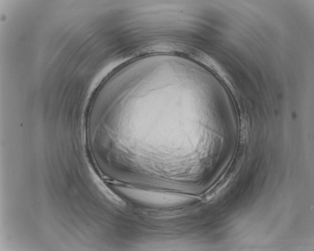 X0000073740795200608311909