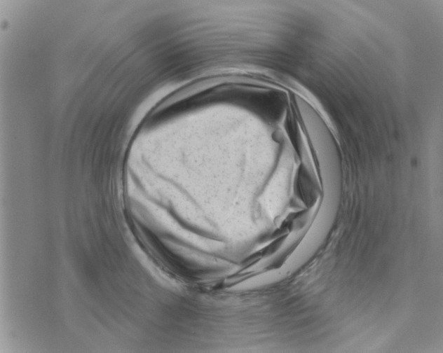 X0000073740811200608311908