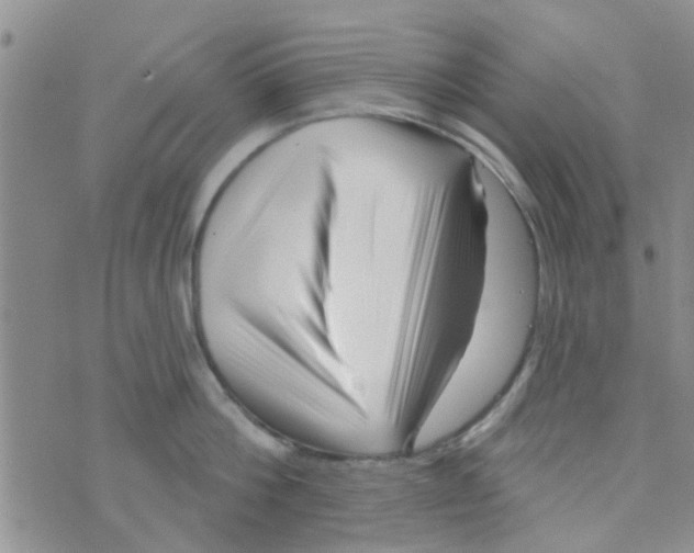 X0000073740812200608311908