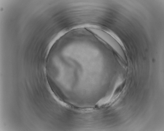 X0000073740813200608311908