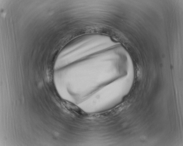X0000073740819200608311908