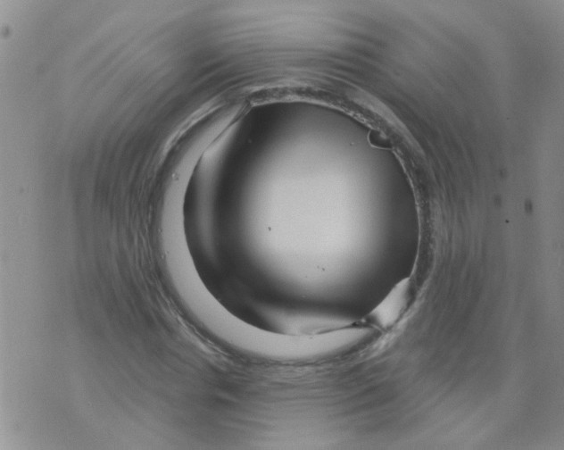 X0000073740826200608311908