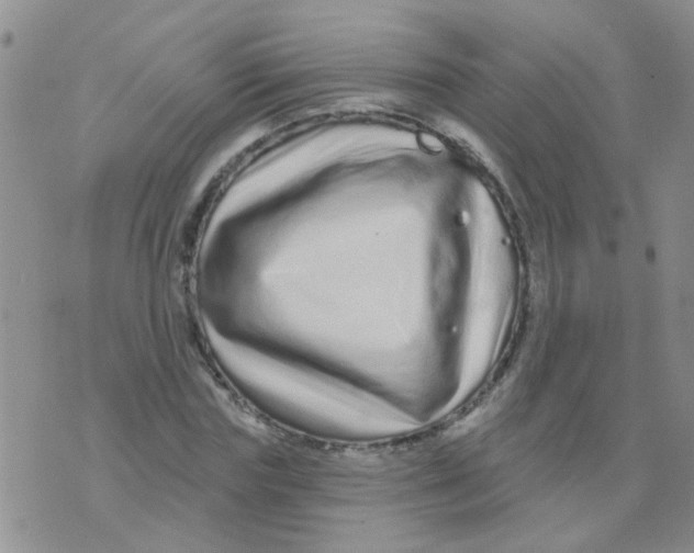 X0000073740827200608311908