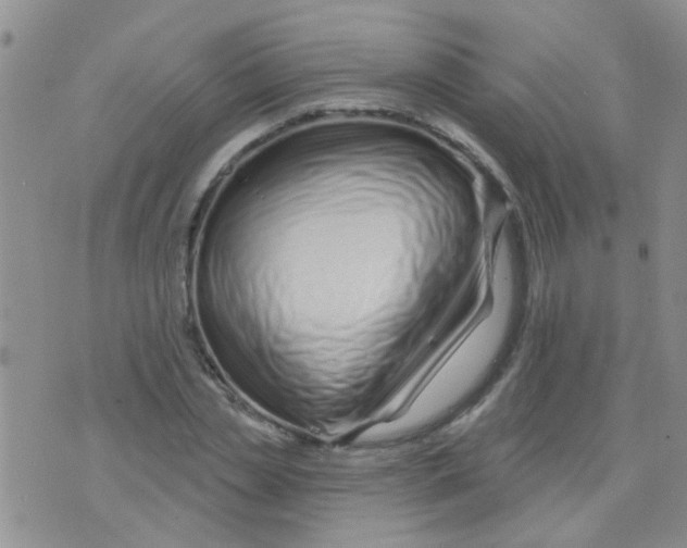 X0000073740829200608311908