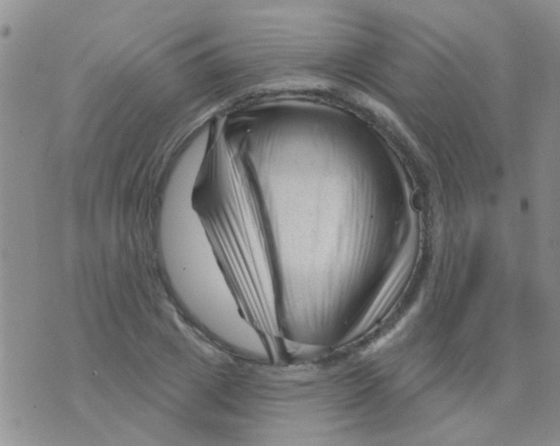 X0000073740833200608311908