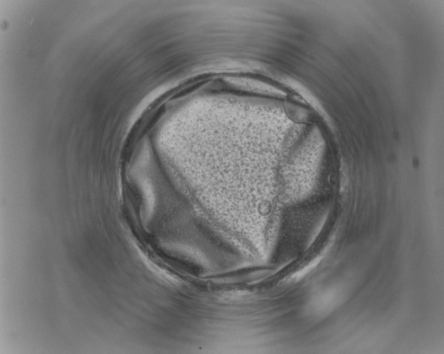 X0000073740837200608311908