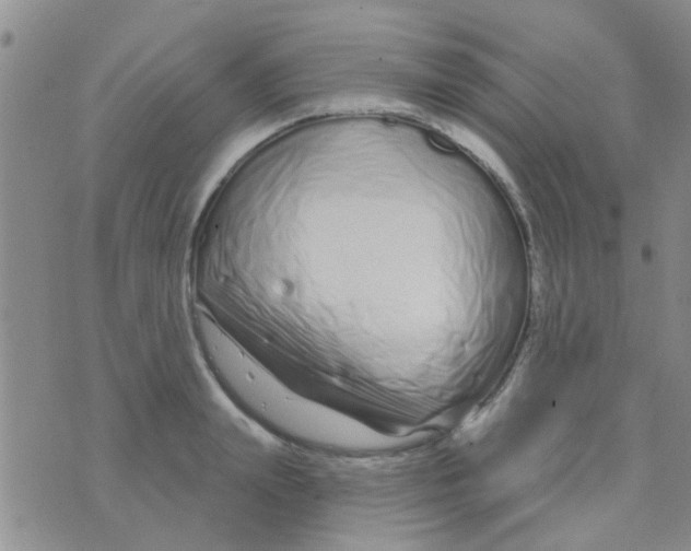 X0000073740847200608311908