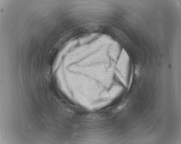 X0000073740867200608311907