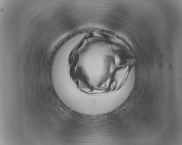 X0000073740872200608311907