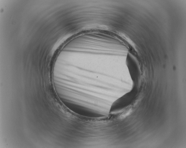 X0000073740877200608311907
