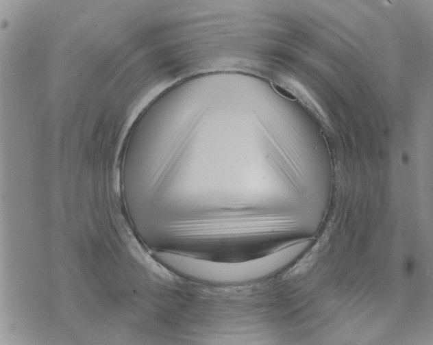 X0000073740900200608311907