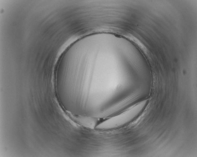 X0000073740902200608311907