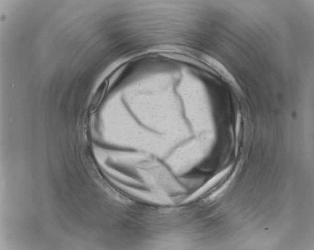 X0000073740908200608311907