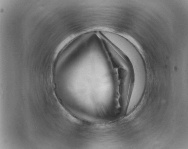 X0000073740910200608311907