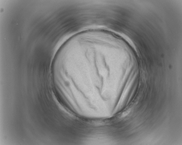 X0000073740911200608311907
