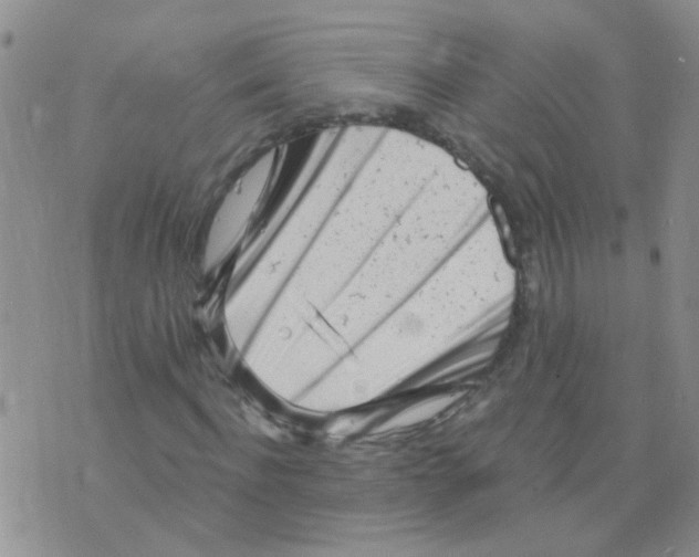 X0000073740916200608311906