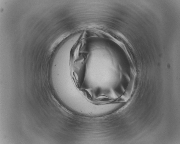 X0000073740922200608311906