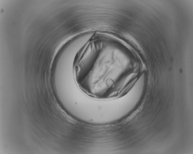 X0000073740924200608311906