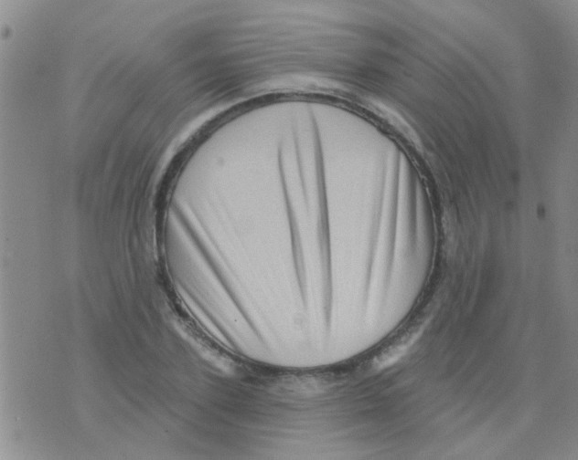 X0000073740931200608311906