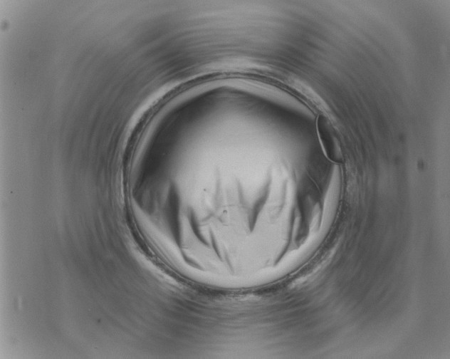 X0000073740939200608311906
