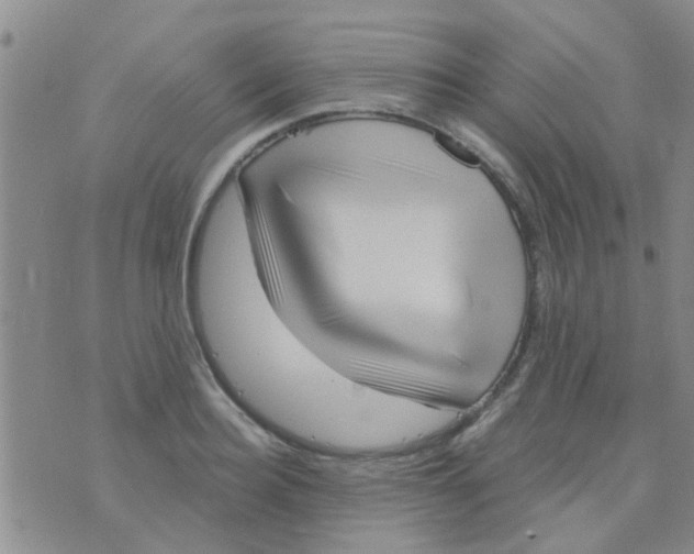 X0000073740940200608311906