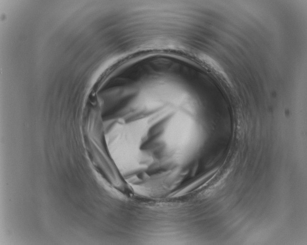 X0000073740942200608311906