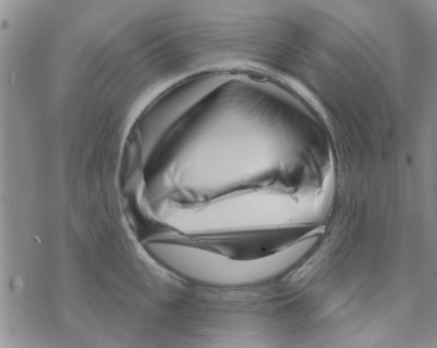 X0000073740951200608311907