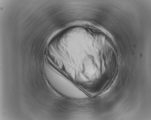 X0000073740953200608311907