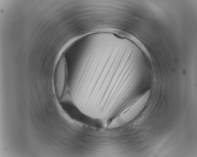 X0000073740955200608311907