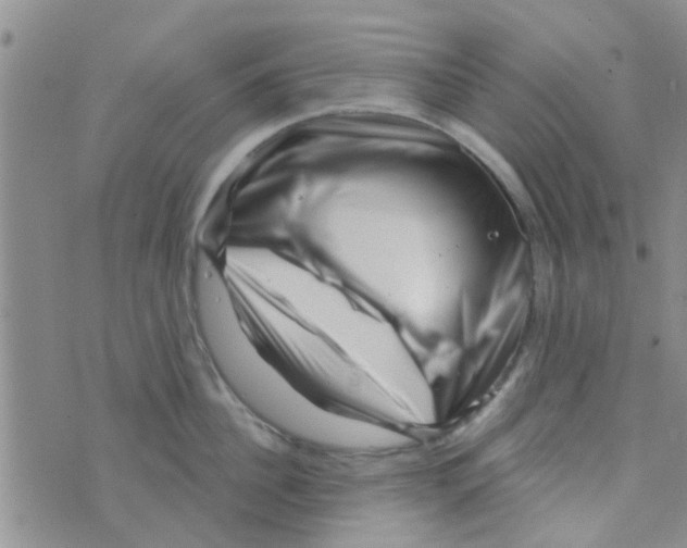 X0000073740956200608311907